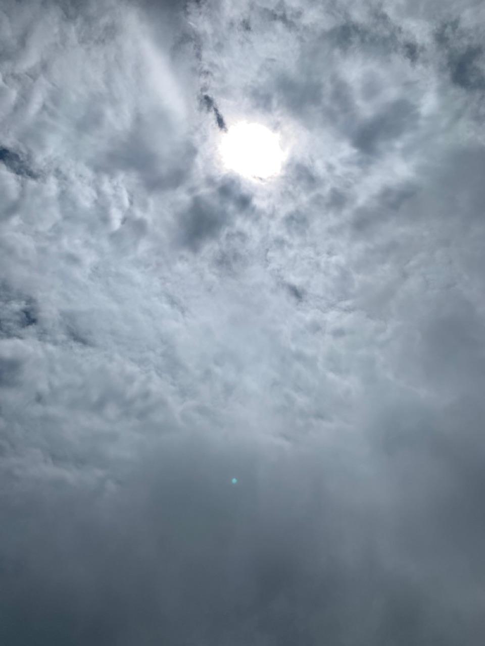 合眾電氣產業(yè)園封頂天氣 合眾電氣產業(yè)園封頂天氣